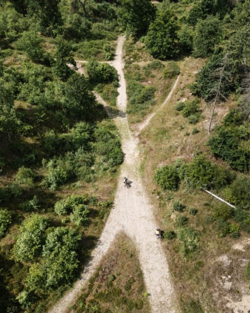 📖 Ein gutes Roadbook gehört zu Hackenpedder, wie der Gegenwind auf dem Deich!

Ich liebe es, ein ausführliches Roadbook für meine eigenen Touren anzulegen. Dies ist immer eine tolle Art der Vorbereitung und dabei wächst die Vorfreude!

Bei der Hackenpedder Route ist das Roadbook allerdings noch ausführlicher. Zum einen, weil schon vier Jahre Arbeit drin steckt. aber viel wichtiger, um das ganze Event damit auch zugänglicher zu machen … 

… Ein Roadbook gibt zusätzlich Sicherheit, und das hilft besonders Personen, die mit dem Bikepacking anfangen wollen. So hat man schwarz auf weiß, wie viele Campingplätze oder Supermärkte an der Strecke liegen, wo man eventuell in der ersten Nacht schlafen kann, aber auch wo jederzeit ein Bahnhof ist, falls es doch anders kommt, als geplant.

Deshalb ist das Roadbook auch jederzeit für alle online einsehbar!

Roadbook Legende
➡️ abseits der Route in KM
⛺ Wildes SH, Campingplatz
📞 Anmeldung nötig
🙋‍♂️ Scout Tipp
🏖️ Badestelle
🛖 Hütte oder Überdachung
🚲 Fahrradladen
⚠️ Achtung: genau lesen
📸 Foto für WhatsApp Gruppe
🐚 topp secret!

Was ist dir bei einem Roadbook am wichtigsten?

📸 @grvl_gunnar & @johann_kristan 

#hackenpedder #bikepacking #stevensbikes #neverstop #shelterattack