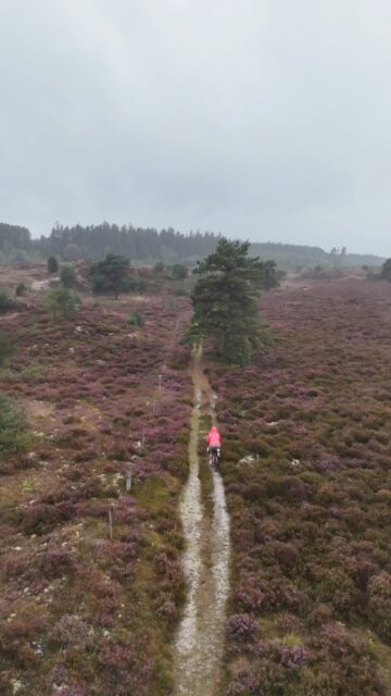 🌧️ Bikepacking Mood aktuell, auch wenn die Heide blüht, das Wetter bleibt trüb …
Ein Community Event, bei dem am auch mal alleine durch Passagen muss.
📍Live Tracking Link in Bio
🙏 Danke für die Unterstützung
@stevensbikeshamburg @velocenterkiel @seeberger_1844
📸 Media-Team
@grvl_gunnar @isy.tnk @felixshlk @speichenbruch.cc
#hackenpedder #bikepacking #dänemark #shelterattack #stevensbikes
