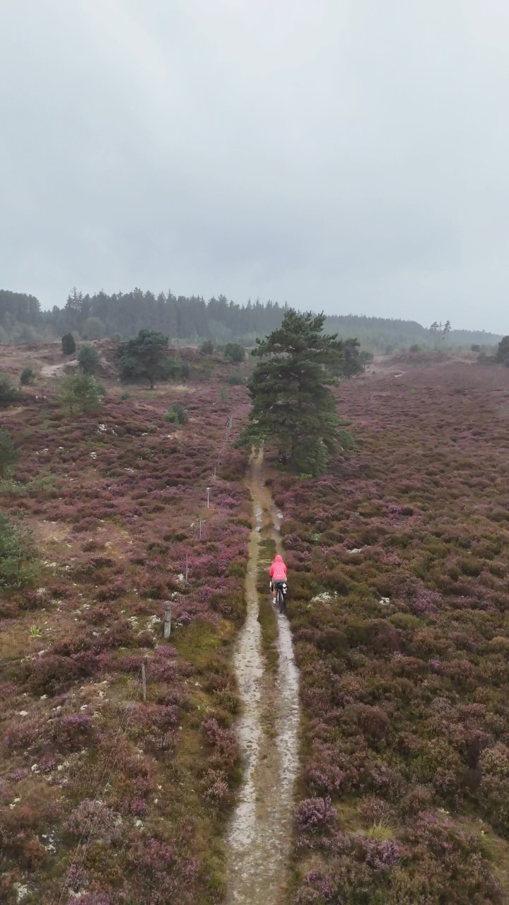 🌧️ Bikepacking Mood aktuell, auch wenn die Heide blüht, das Wetter bleibt trüb …
Ein Community Event, bei dem am auch mal alleine durch Passagen muss.
📍Live Tracking Link in Bio
🙏 Danke für die Unterstützung
@stevensbikeshamburg @velocenterkiel @seeberger_1844
📸 Media-Team
@grvl_gunnar @isy.tnk @felixshlk @speichenbruch.cc
#hackenpedder #bikepacking #dänemark #shelterattack #stevensbikes